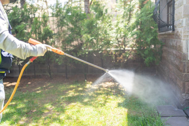 Best Mosquito Control Services  in College Place, WA
