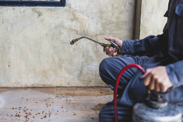 Best Pest Prevention Services  in College Place, WA